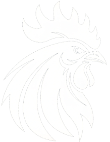 Logo AcompanhantesBR